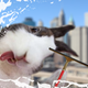 Image for article titled Kotaku 'Shop Contest: Better Than A Bunny Smartphone Case: The Winners!
